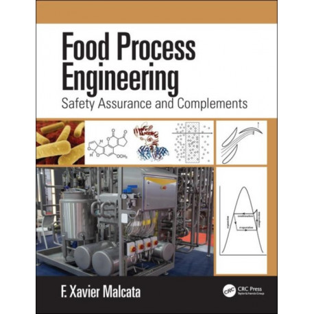 Food Process Engineering: Safety Assurance and Complements