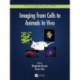 Imaging from Cells to Animals In Vivo