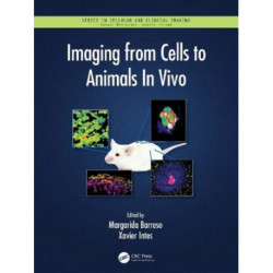 Imaging from Cells to Animals In Vivo