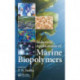 Industrial Applications of Marine Biopolymers