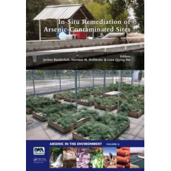 In-Situ Remediation of Arsenic-Contaminated Sites