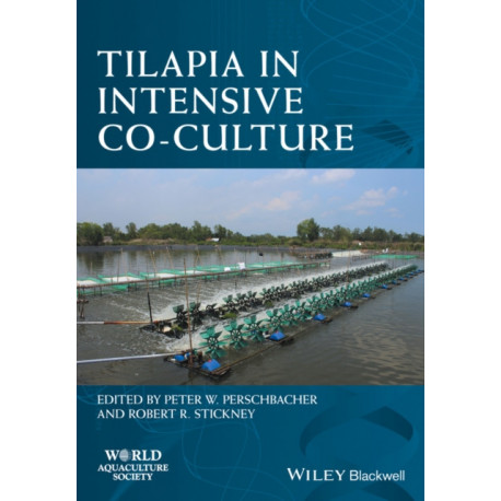 Tilapia in Intensive Co-culture