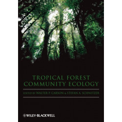 Tropical Forest Community Ecology