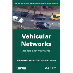 Vehicular Networks: Models and Algorithms