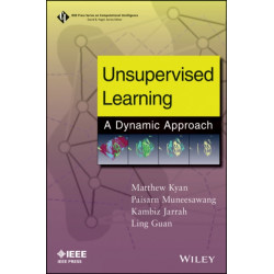 Unsupervised Learning: A Dynamic Approach