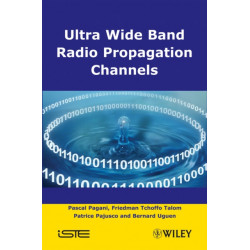 Ultra-Wideband Radio Propagation Channels: A Practical Approach