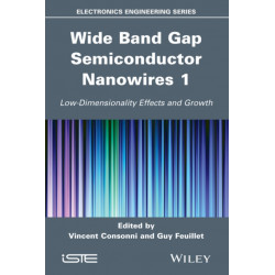 Wide Band Gap Semiconductor Nanowires 1: Low-Dimensionality Effects and Growth