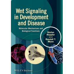 Wnt Signaling in Development and Disease: Molecular Mechanisms and Biological Functions