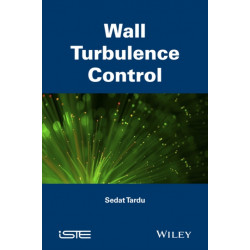 Wall Turbulence Control