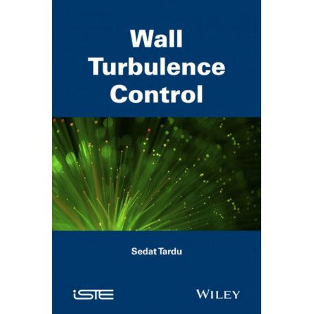 Wall Turbulence Control