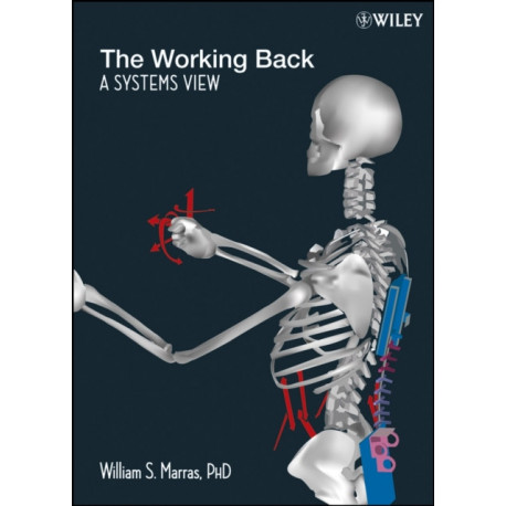 The Working Back: A Systems View