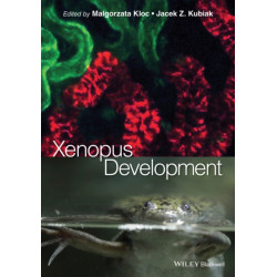 Xenopus Development