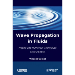 Wave Propagation in Fluids: Models and Numerical Techniques