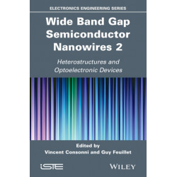 Wide Band Gap Semiconductor Nanowires 2: Heterostructures and Optoelectronic Devices