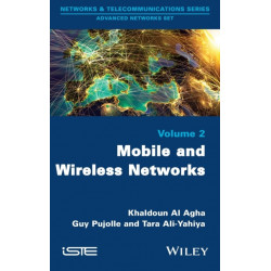 Mobile and Wireless Networks