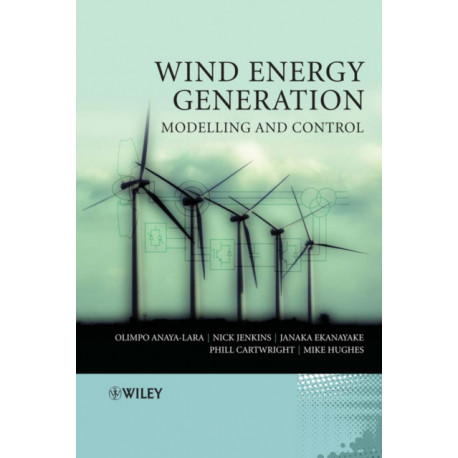Wind Energy Generation: Modelling and Control