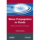 Wave Propagation in Fluids: Models and Numerical Techniques