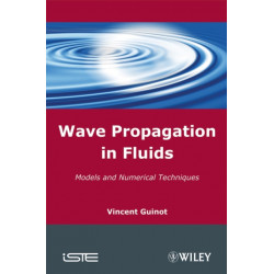 Wave Propagation in Fluids: Models and Numerical Techniques