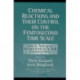 Chemical Reactions and Their Control on the Femtosecond Time Scale: 20th Solvay Conference on Chemistry, Volume 101