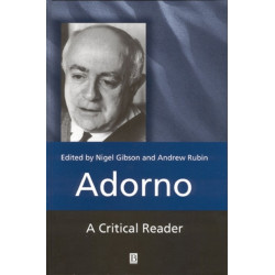 Adorno: A Critical Reader