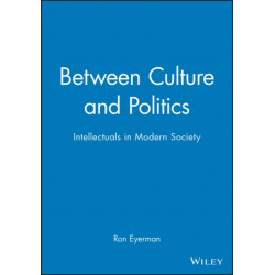 Between Culture and Politics: Intellectuals in Modern Society