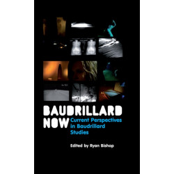 Baudrillard Now: Current Perspectives in Baudrillard Studies