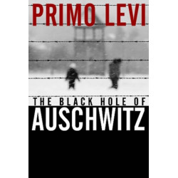 The Black Hole of Auschwitz
