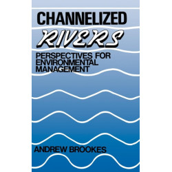 Channelized Rivers: Perspectives for Environmental Management