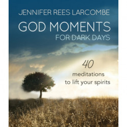 God Moments for Dark Days: 40 meditations to lift your spirits