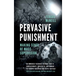 Pervasive Punishment: Making Sense of Mass Supervision