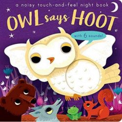 Owl Says Hoot: A noisy touch-and-feel night book