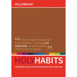 Holy Habits: Fellowship: Missional discipleship resources for churches