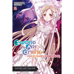 Sword Art Online 16 (light novel)