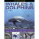 Exploring Nature: Whales & Dolphins: Dive into the Watery World of Whales, Dolphins, Narwhals and Rorquals, All Shown in 190 Spectacular Images