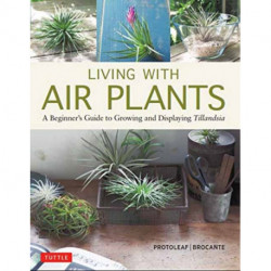Living with Air Plants