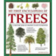 My First Encyclopedia of Trees (giant Size)