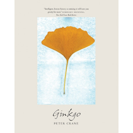Ginkgo: The Tree That Time Forgot