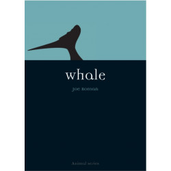 Whale