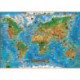 Animals of the World kids wall map laminated