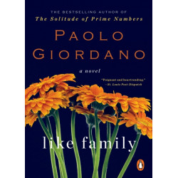 Like Family: A Novel