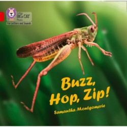 Buzz, Hop, Zip! Big Book: Band 02a/Red a