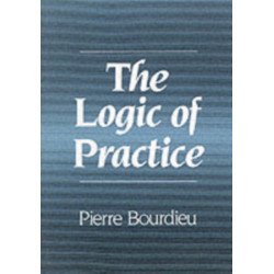 The Logic of Practice