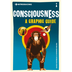 Introducing Consciousness: A Graphic Guide