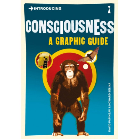 Introducing Consciousness: A Graphic Guide