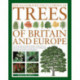 The Illustrated Encyclopedia of Trees of Britain and Europe: The Ultimate Reference Guide and Identifier to 550 of the Most Spectacular, Best-Loved and Unusual Trees, with 1600 Specially Commissioned Illustrations and Photographs