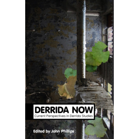 Derrida Now: Current Perspectives in Derrida Studies