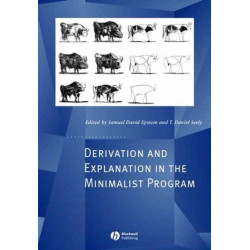 Derivation and Explanation in the Minimalist Program