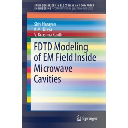 FDTD Modeling of EM Field inside Microwave Cavities