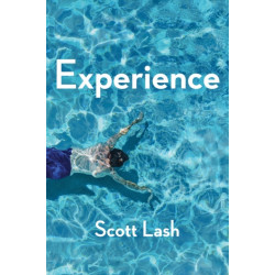Experience: New Foundations for the Human Sciences