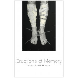 Eruptions of Memory: The Critique of Memory in Chile, 1990-2015
